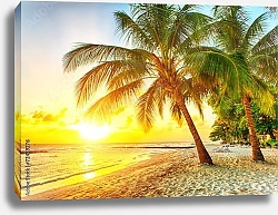 Постер Барбадос. Тропический закат