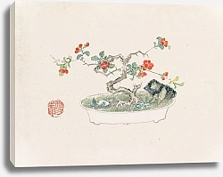 Постер Неизвестен Bonsai kabenzu, Pl.07