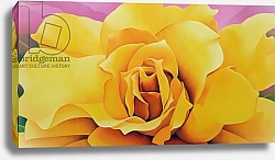 Постер Сим Миунг-Бо (совр) The Golden Rose, 2004