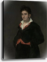 Постер Гойя Франсиско (Francisco de Goya) Portrait of Don Ramon Satue, 1823