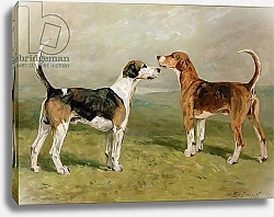 Постер Эммс Джон Two Hounds in a Landscape 1