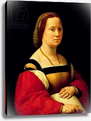 Постер Рафаэль (Raphael Santi) The Pregnant Woman, La Donna Gravida, c.1505-07