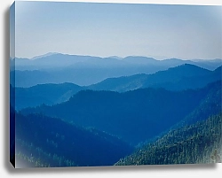 Постер Голубые лесистые холмы