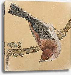 Постер Маленькая птичка на ветке 1