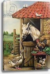 Постер Даннер Карл (совр) Farmyard Friends