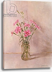 Постер Хаддан Джойс (совр) Pinks in a glass jar