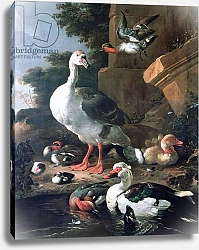 Постер Хондекутер Мелхиор Waterfowl in a classical landscape, 17th century