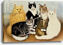 Постер Скотт Пэт (совр) Cat's Cradle
