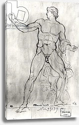 Постер Давид Жак Луи Colossus of Monte Cavallo