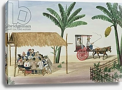 Постер Лозано Хосе A Game of Panguingui, from 'The Flebus Album of Views In and Around Manila', c.1845