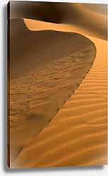 Постер Изгиб песчаной дюны