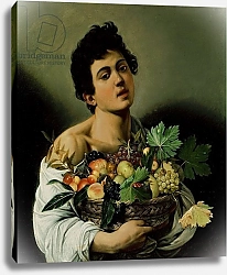 Постер Караваджо (Caravaggio) Youth with a Basket of Fruit, 1594