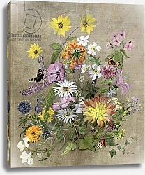 Постер Гиббинс Джон (совр) Summer Flowers
