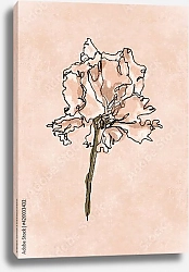 Постер Цветок ириса на бежевом фоне
