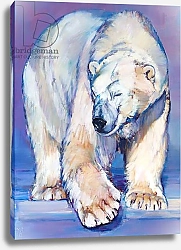 Постер Адлингтон Марк (совр) Great White Bear, 2016,