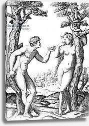 Постер Рафаэль (Raphael Santi) Adam and Eve, engraved by Marcantonio, c.1520