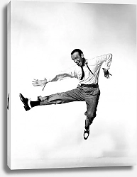 Постер Astaire, Fred 8