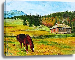Постер Лошадь возле дома в горах