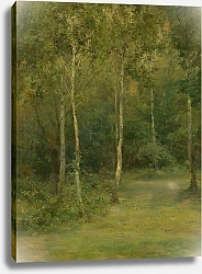 Постер Чордак Людовит Wooded Landscape with Little Birches