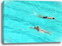Постер Два пловца в бассейне
