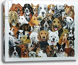 Постер Скотт Пэт (совр) Dog Friends