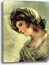 Постер Гойя Франсиско (Francisco de Goya) The Milkmaid of Bordeaux, c.1824 2
