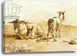 Постер Тиеполо Доменико Джованни PD.32-1959 Two Donkeys and a Goat in a Landscape