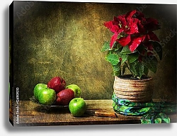 Постер Натюрморт с цветком в горшке и яблоками на деревянном столе