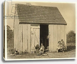 Постер Хайн Льюис (фото) De Marco family shack for cranberry pickers at Forsythe's Bog, Turkeytown, near Pemberton, New Jersey, 1910