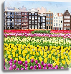 Постер Голландия, Амстердам. Город в цветах