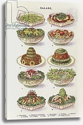 Постер Salads