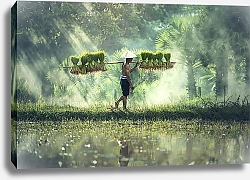 Постер Вьетнамский сборщик урожая