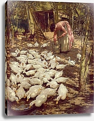 Постер Танге Ла Генри The Small Holding, 1896