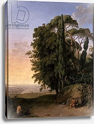 Постер Тишбейн Иоганн Landscape near Frascati, 1783