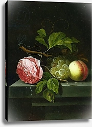 Постер Борман Иоханнес A Still Life with a Rose, Grapes and Peach, 17th century