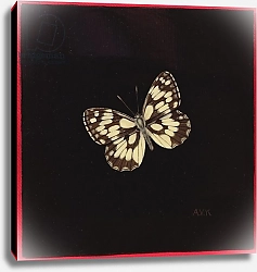 Постер Клейзер Амелия (совр) Marbled white butterfly, 2000