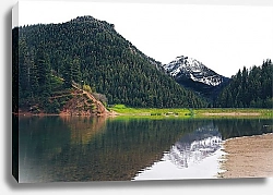 Постер Сосновый лес и снежная гора у воды