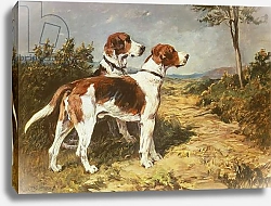 Постер Эммс Джон Two Hounds in a Landscape