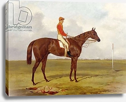Постер Холл Гарри A Portrait of 'The Cossack', Winner of the 1847 Derby with S. Templeman Up, 1847