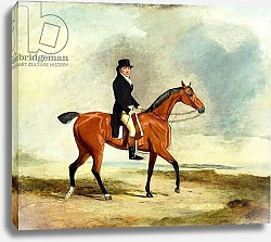 Постер Маршалл Бенджамин Francis Const on his Bay hunter Riding near the Sea, 1806