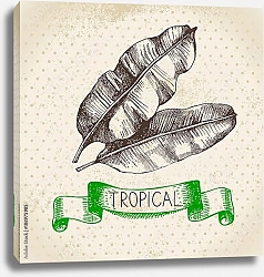 Постер Иллюстрация с пальмовыми листьями