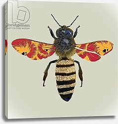 Постер Хью Сара (совр) Honey Bee, 2010