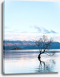 Постер Озеро Ванака, Новая Зеландия 1