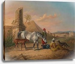 Постер Серая арабская кобыла и жеребенок с семьей