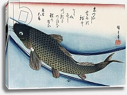 Постер Утагава Хирошиге (яп) 'Carp', from the series 'Collection of Fish'