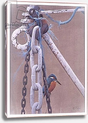 Постер Тейлор Карл (совр) Kingfisher, 2006