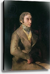 Постер Гойя Франсиско (Francisco de Goya) Don Manuel Silvela c.1809-12