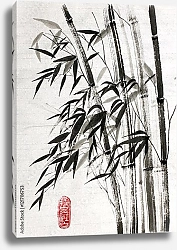 Постер Бамбук - символ долголетия и процветания
