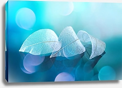 Постер Белые прозрачные листья на синем фоне