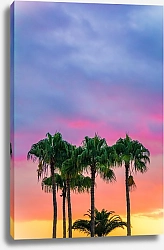 Постер Группа пальм на фоне заката